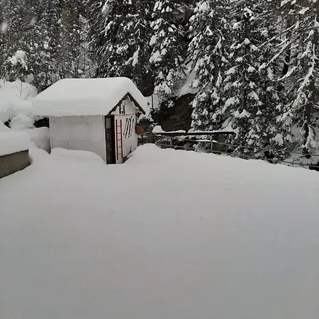Hostel Belvedere & Affitacamere